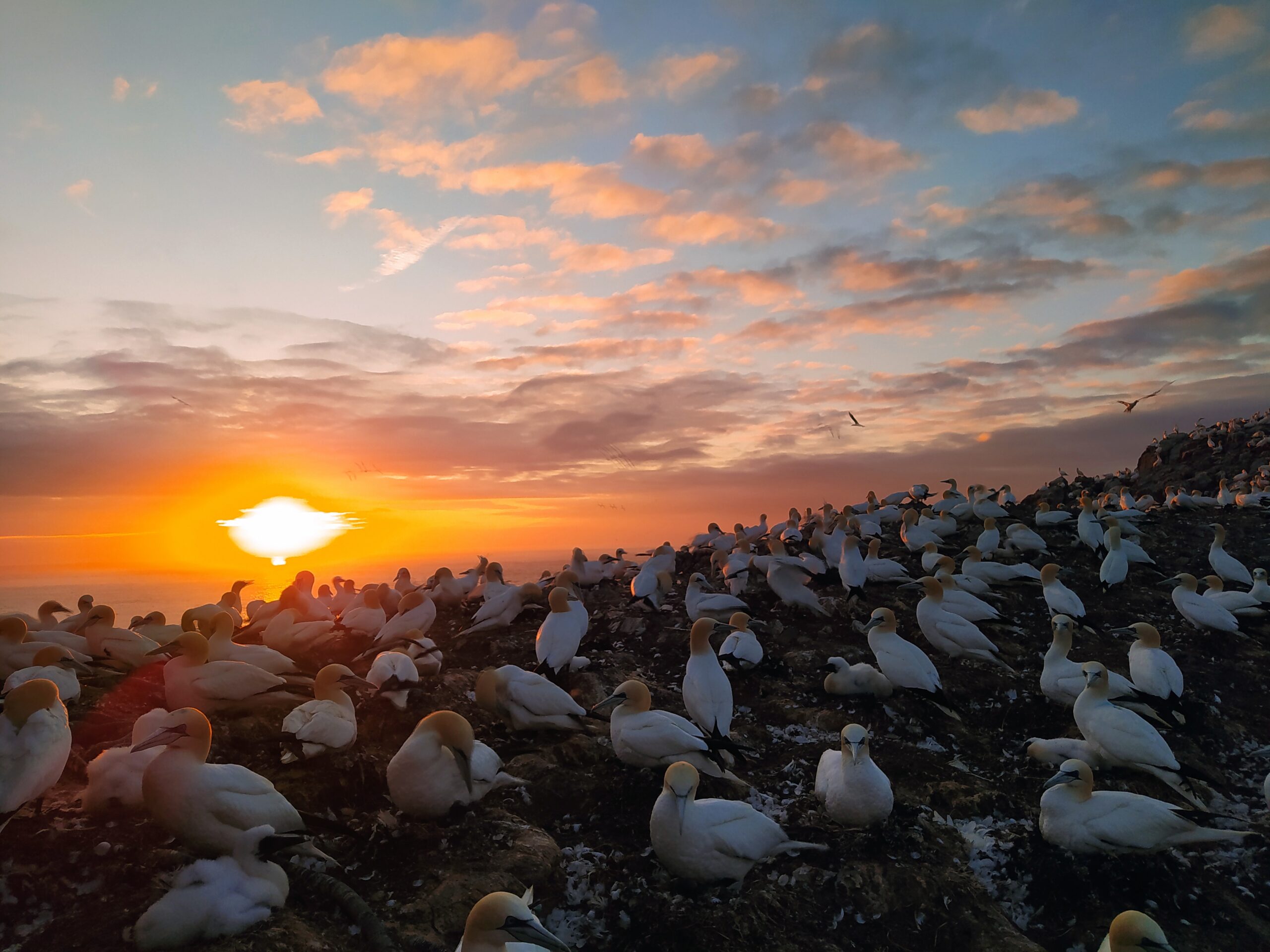 Human-Wildlife Coexistence & Its Human Dimensions